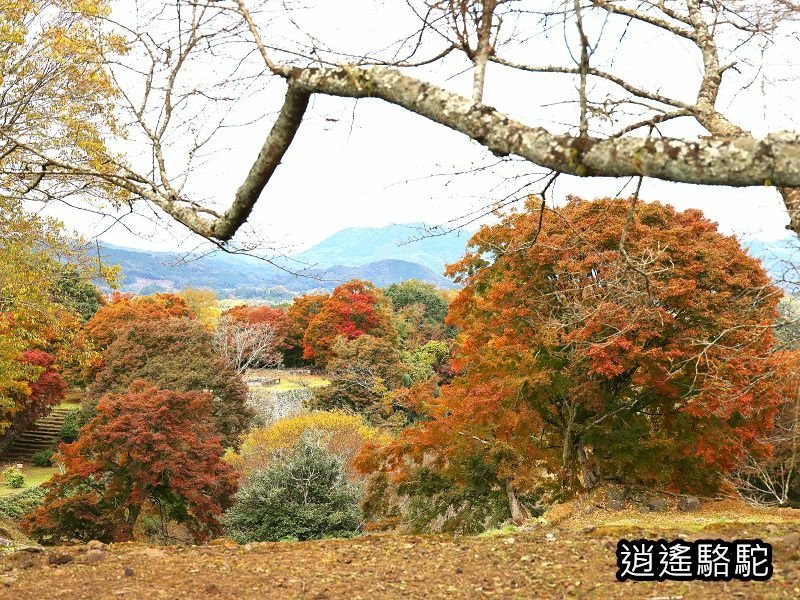 西の丸跡(岡城跡)-日本駱駝