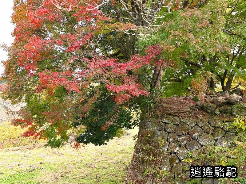 西の丸跡(岡城跡)-日本駱駝