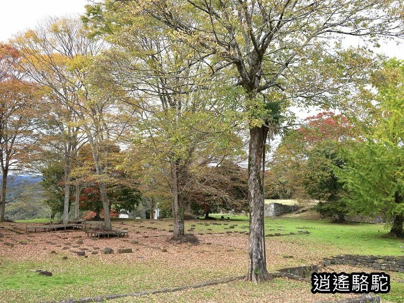 西の丸跡(岡城跡)-日本駱駝