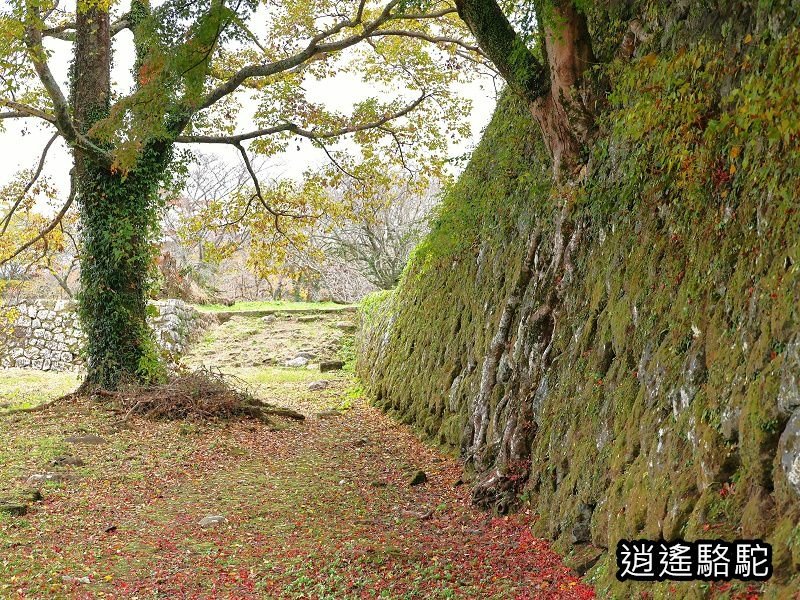 西の丸跡(岡城跡)-日本駱駝