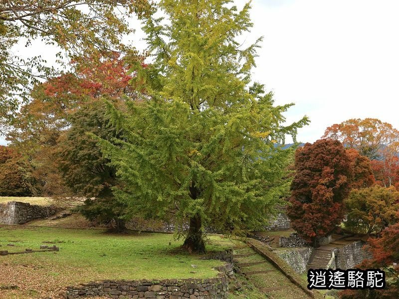 西の丸跡(岡城跡)-日本駱駝