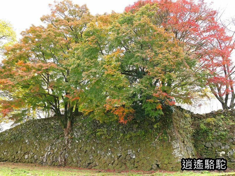 西の丸跡(岡城跡)-日本駱駝