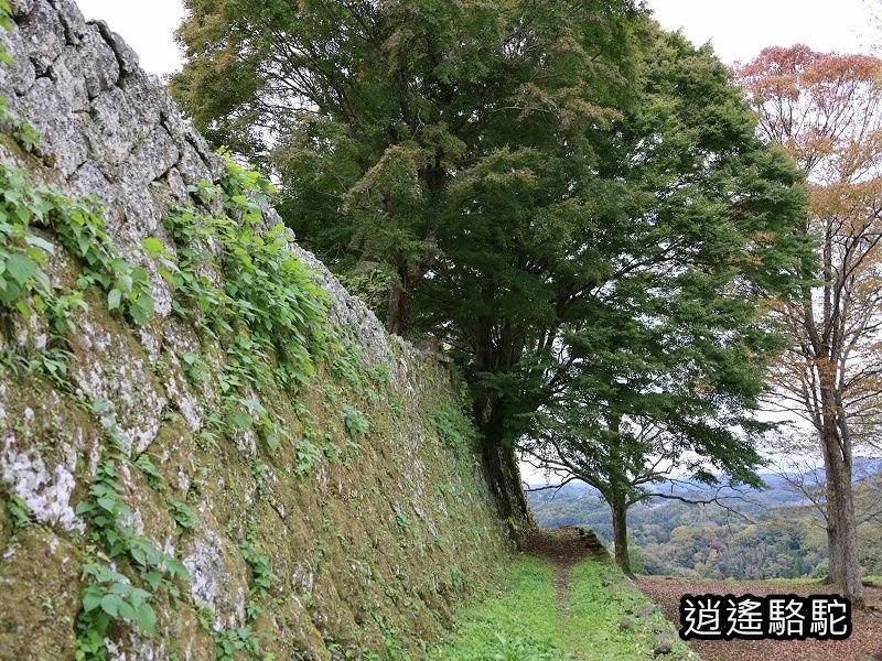 西の丸跡(岡城跡)-日本駱駝