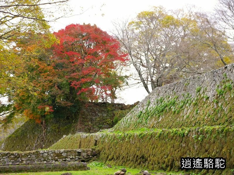 西の丸跡(岡城跡)-日本駱駝