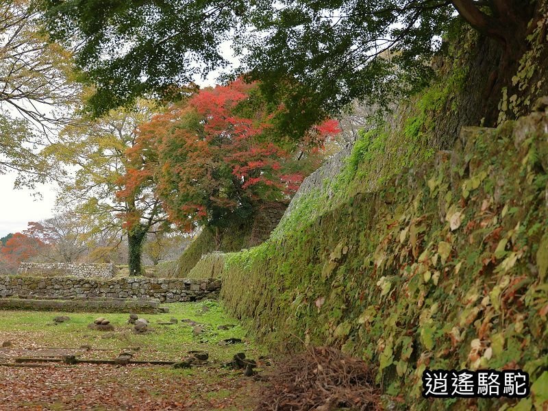 西の丸跡(岡城跡)-日本駱駝