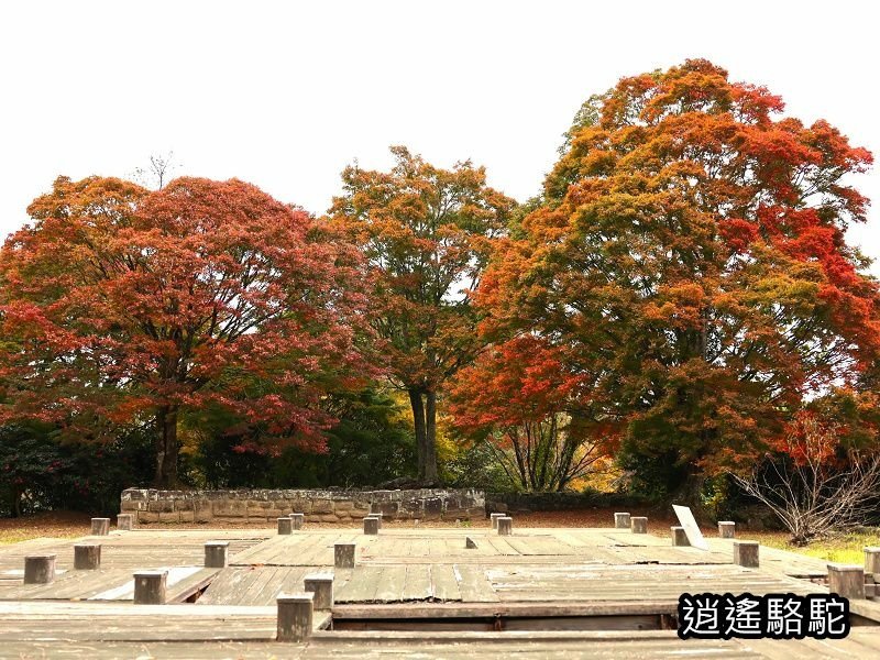 中川覺左衛門屋敷跡(岡城跡)-日本駱駝