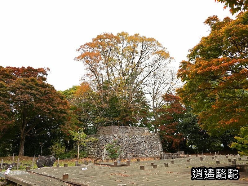 中川覺左衛門屋敷跡(岡城跡)-日本駱駝