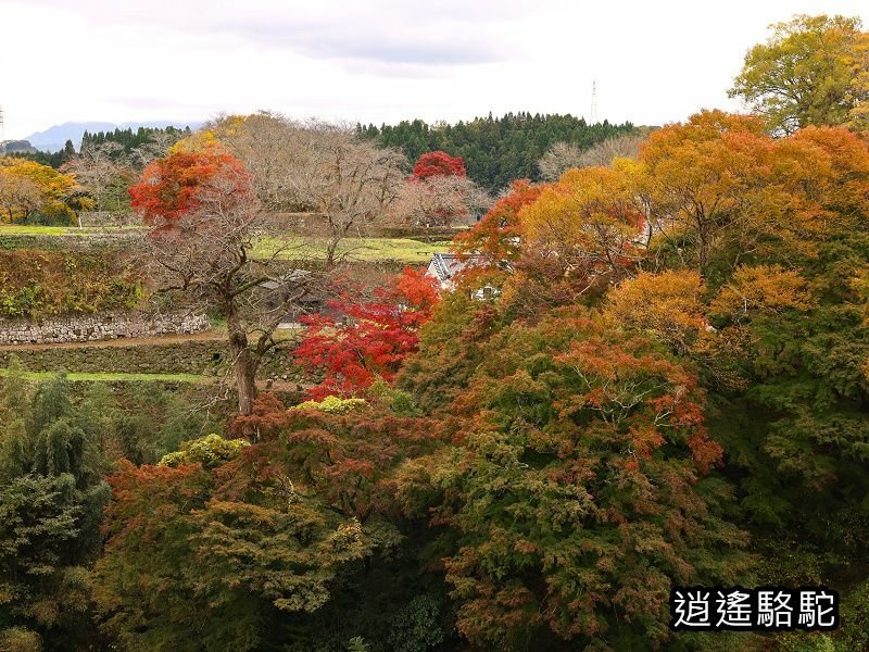 中川覺左衛門屋敷跡(岡城跡)-日本駱駝