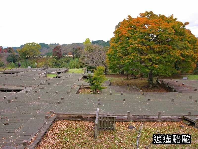 中川覺左衛門屋敷跡(岡城跡)-日本駱駝