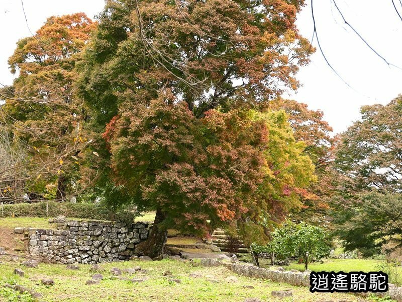 中川覺左衛門屋敷跡(岡城跡)-日本駱駝