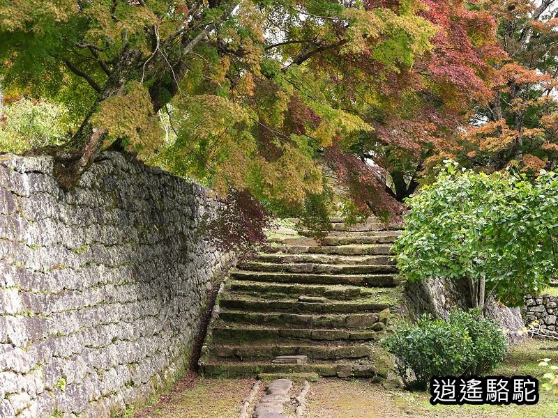 中川覺左衛門屋敷跡(岡城跡)-日本駱駝