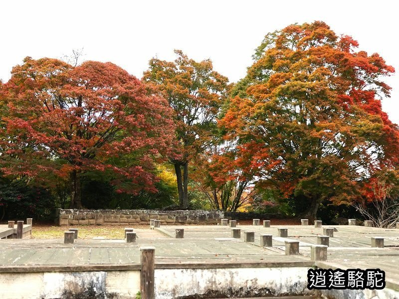 中川覺左衛門屋敷跡(岡城跡)-日本駱駝