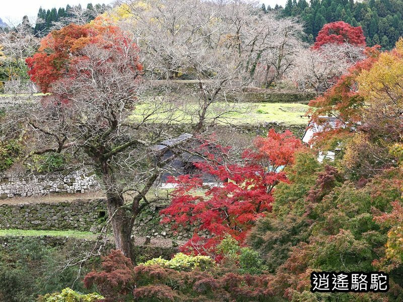 中川覺左衛門屋敷跡(岡城跡)-日本駱駝