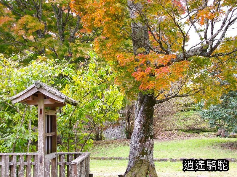 中川覺左衛門屋敷跡(岡城跡)-日本駱駝