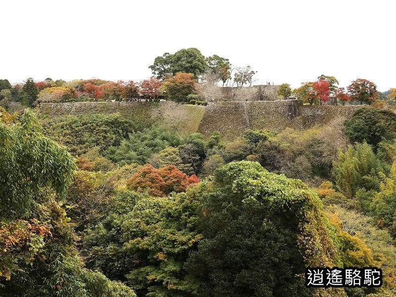 中川覺左衛門屋敷跡(岡城跡)-日本駱駝