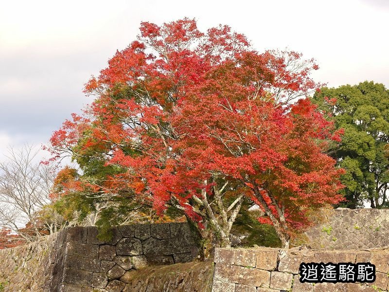 貫木門、太鼓櫓(岡城跡) -日本駱駝