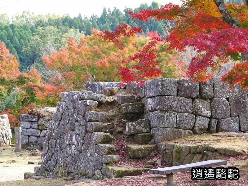 貫木門、太鼓櫓(岡城跡) -日本駱駝