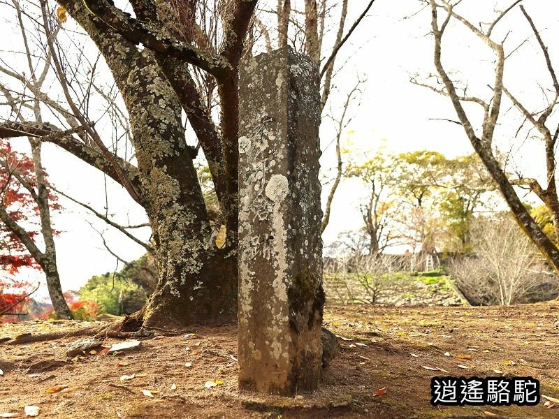 貫木門、太鼓櫓(岡城跡) -日本駱駝