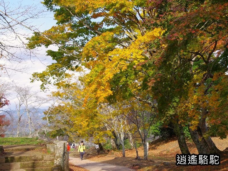 貫木門、太鼓櫓(岡城跡) -日本駱駝