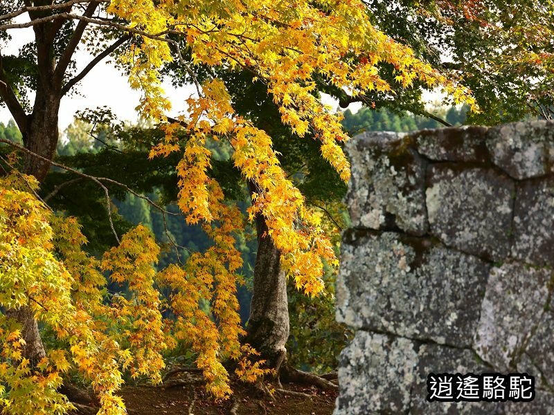 貫木門、太鼓櫓(岡城跡) -日本駱駝