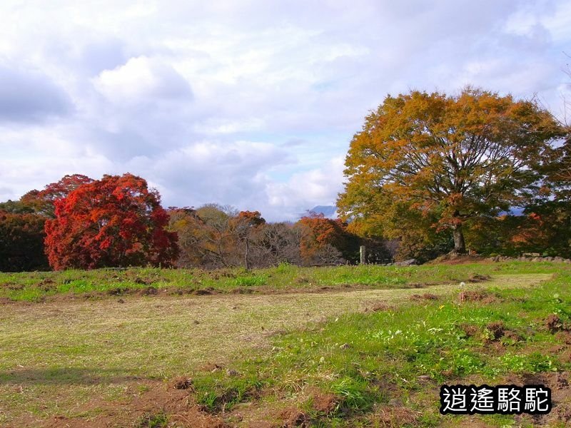 貫木門、太鼓櫓(岡城跡) -日本駱駝