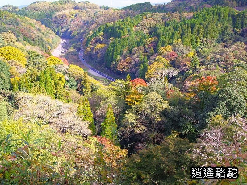 貫木門、太鼓櫓(岡城跡) -日本駱駝