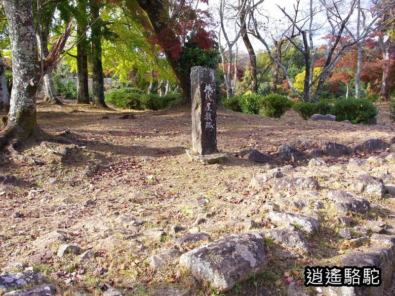 貫木門、太鼓櫓(岡城跡) -日本駱駝