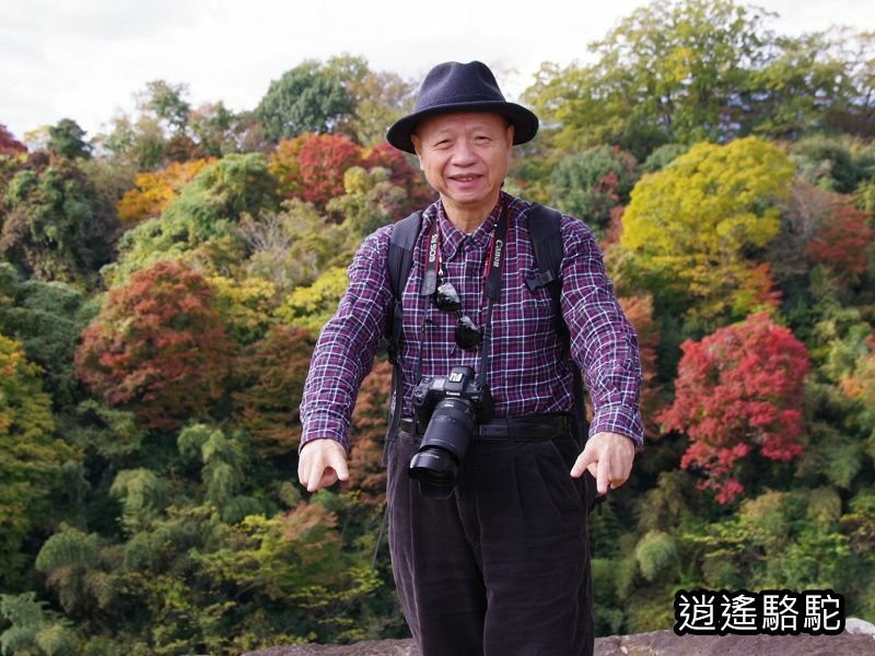 貫木門、太鼓櫓(岡城跡) -日本駱駝