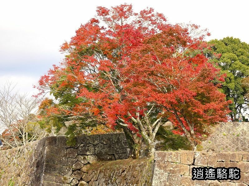 貫木門、太鼓櫓(岡城跡) -日本駱駝