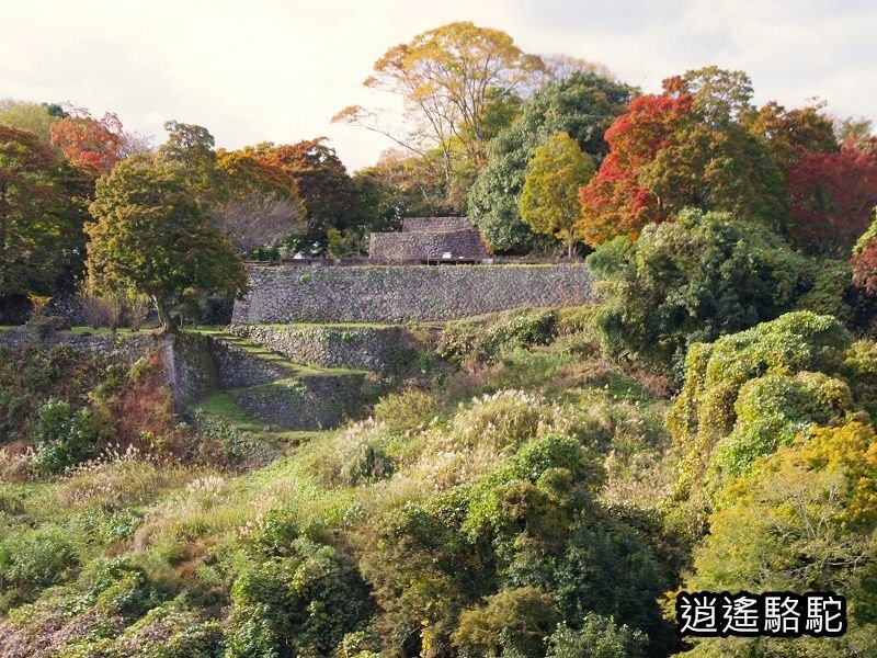 貫木門、太鼓櫓(岡城跡) -日本駱駝