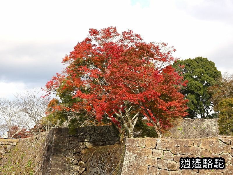 貫木門、太鼓櫓(岡城跡) -日本駱駝