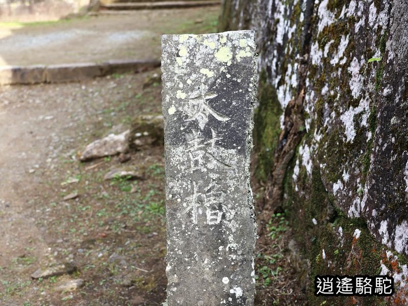 貫木門、太鼓櫓(岡城跡) -日本駱駝