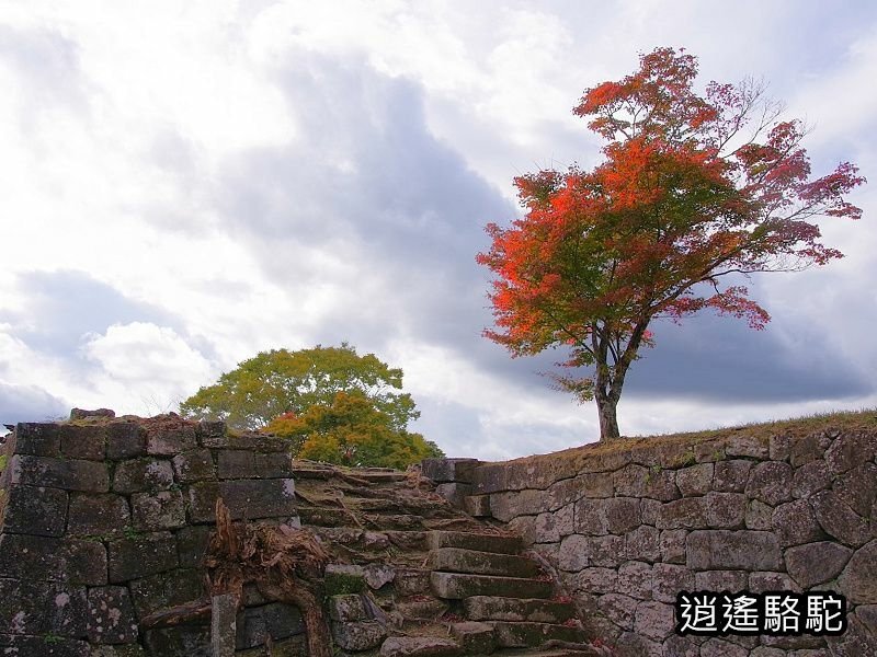 貫木門、太鼓櫓(岡城跡) -日本駱駝