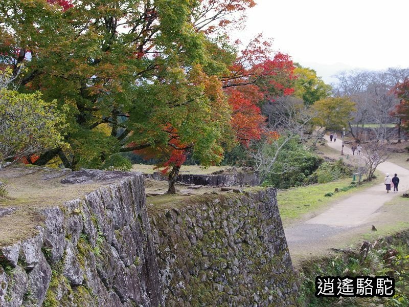 貫木門、太鼓櫓(岡城跡) -日本駱駝