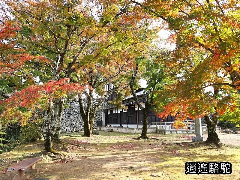 瀧廉太郎像(岡城跡) -日本駱駝