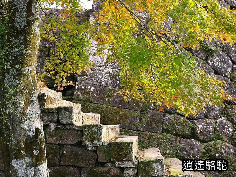 瀧廉太郎像(岡城跡) -日本駱駝