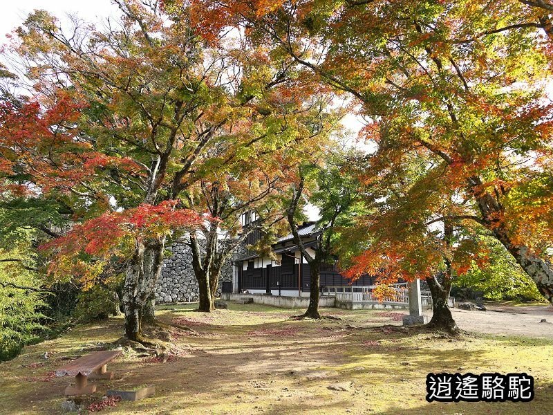 瀧廉太郎像(岡城跡) -日本駱駝