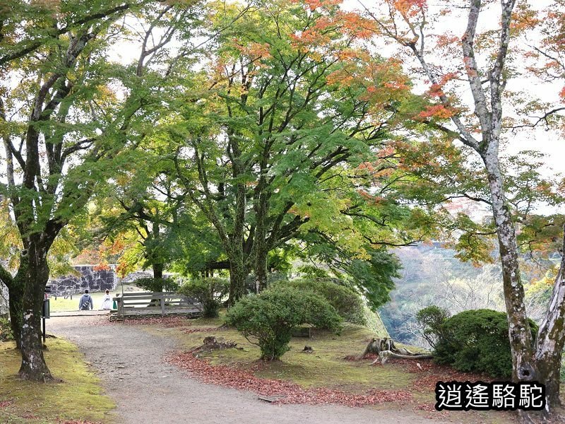 瀧廉太郎像(岡城跡) -日本駱駝