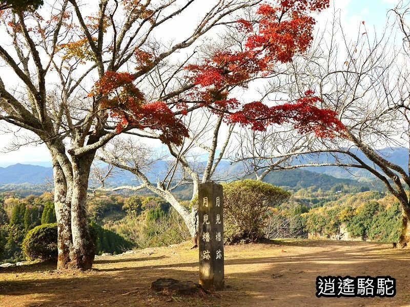 瀧廉太郎像(岡城跡) -日本駱駝