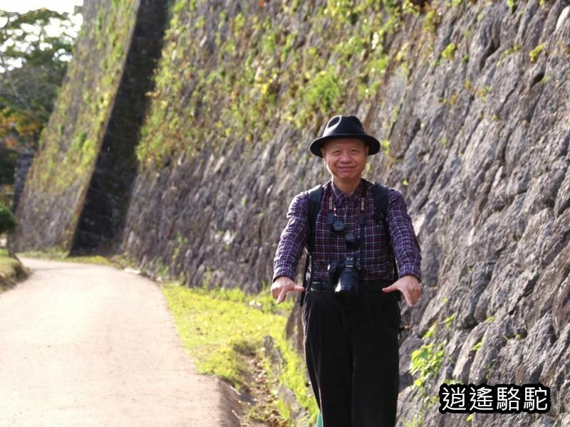 本丸跡(岡城跡) -日本駱駝