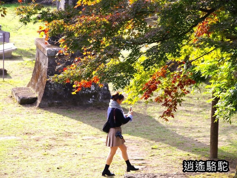 本丸跡(岡城跡) -日本駱駝