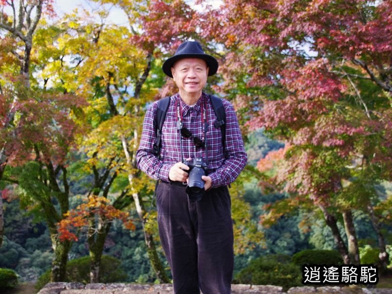 本丸跡(岡城跡) -日本駱駝