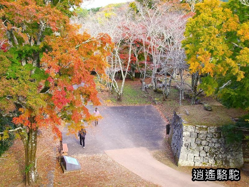 本丸跡(岡城跡) -日本駱駝