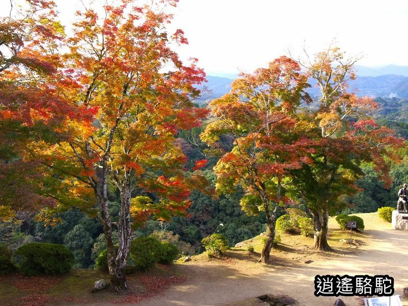 本丸跡(岡城跡) -日本駱駝