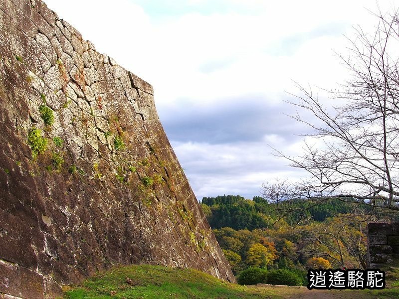 本丸跡(岡城跡) -日本駱駝