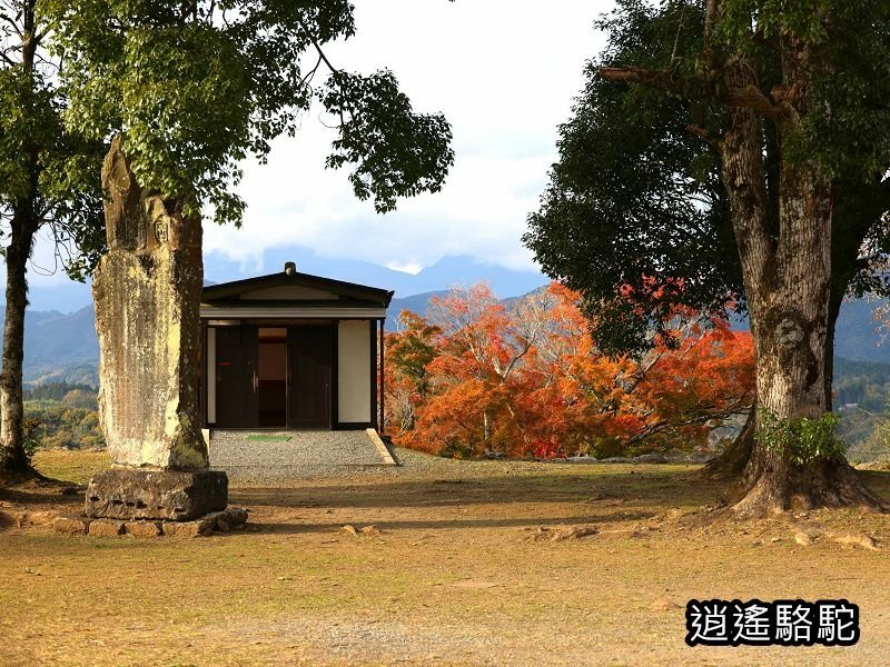 本丸跡(岡城跡) -日本駱駝