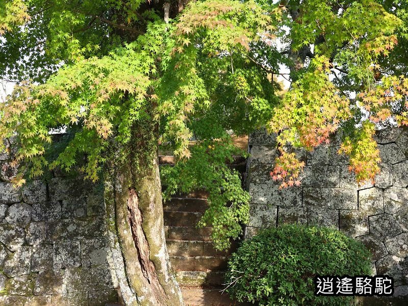 下原門(しもばるもん)跡(岡城跡)-日本駱駝