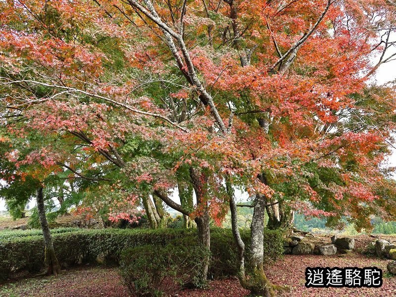 下原門(しもばるもん)跡(岡城跡)-日本駱駝