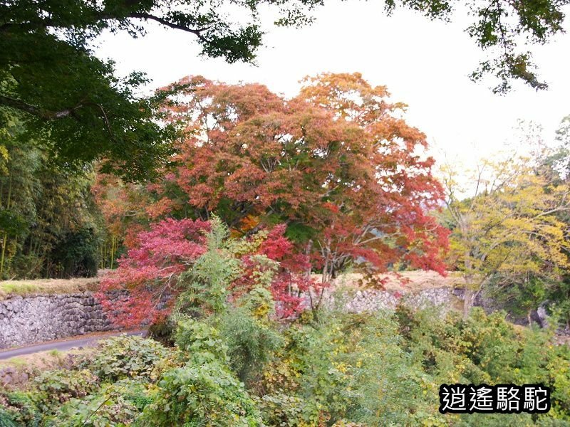 下原門(しもばるもん)跡(岡城跡)-日本駱駝