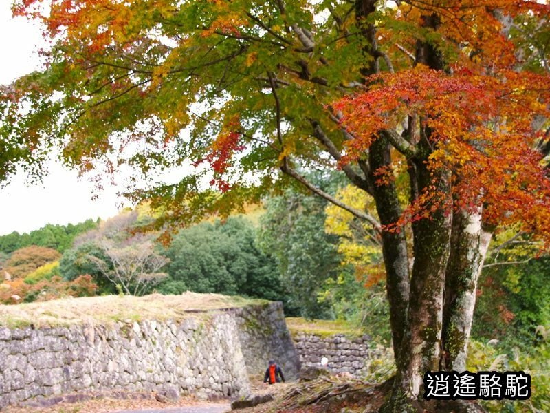 下原門(しもばるもん)跡(岡城跡)-日本駱駝